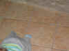 IMG_1356_020405 (Medium).jpg (51595 bytes)