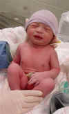 samuel,t=60sec_111804crop (Medium).JPG (28879 bytes)